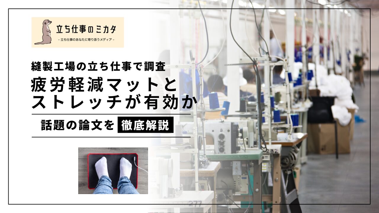 筋骨格系理学療法を見直す 楽天市場】筋骨格系理学療法を見直すの通販