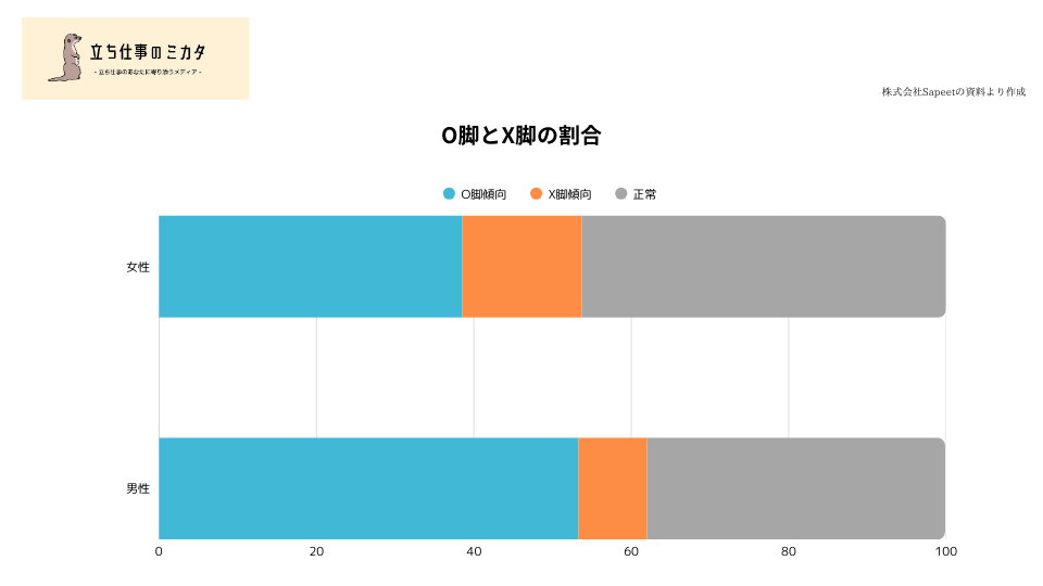 O脚とX脚の割合 立ち仕事のミカタ