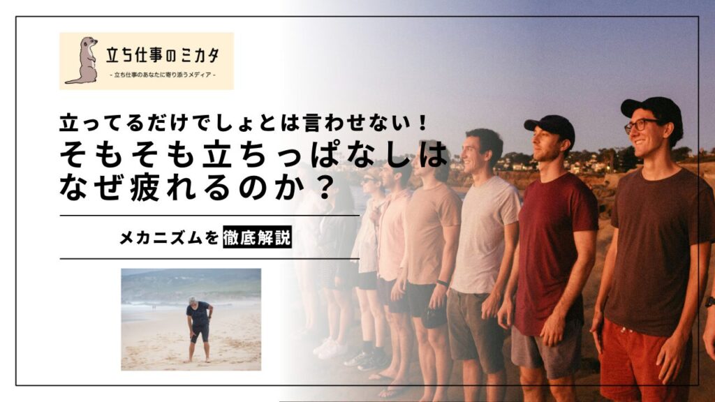 そもそも立ちっぱなしはなぜ疲れるのか？立ってるだけでしょとは言わせない！疲労のメカニズムを徹底解説 - 立ち仕事のミカタ