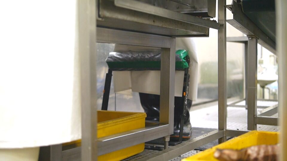 山福水産株式会社は足腰への負荷軽減のために新しい立ち椅子「スタビハーフ」を導入
